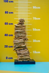 Une montagne de gaufres construite à Liège pour la journée internationale de la gaufre