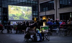 C'est l'été, Bruxelles fait son cinéma en plein air