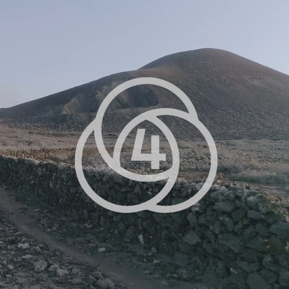 Zone4Fit : la nouvelle application mobile fitness en live pour tous les niveaux