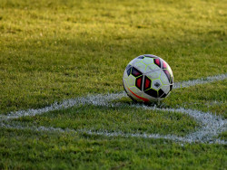 Le retour de « Bossemans et Coppenolle »... sur le terrain