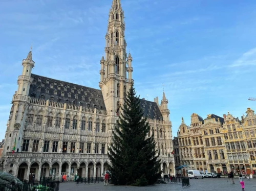 Le saviez-vous ? Le sapin de la Grand-Place est en direct !
