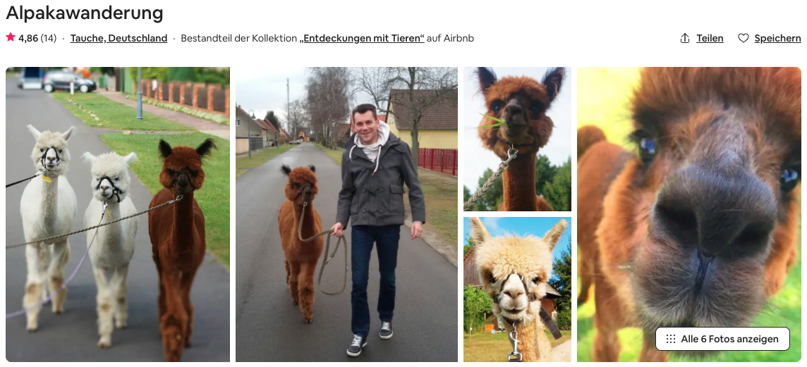 Partner Link airbnb_de_experiences_affiliate