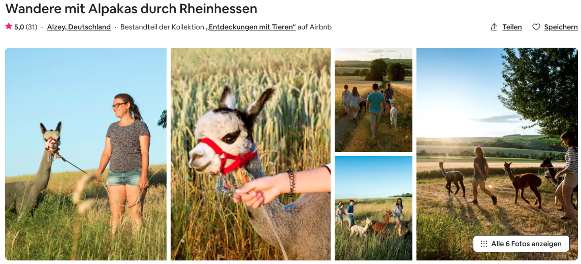 Partner Link airbnb_de_experiences_affiliate