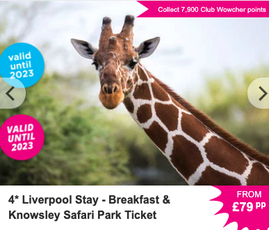 Partner Link wowcher_uk_accommodations_affiliate