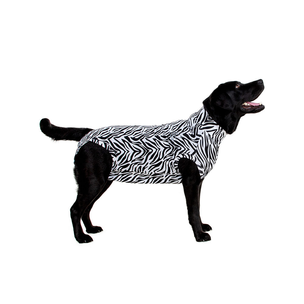 Medical Pet Shirt Hund Zebra-Muster – S Plus