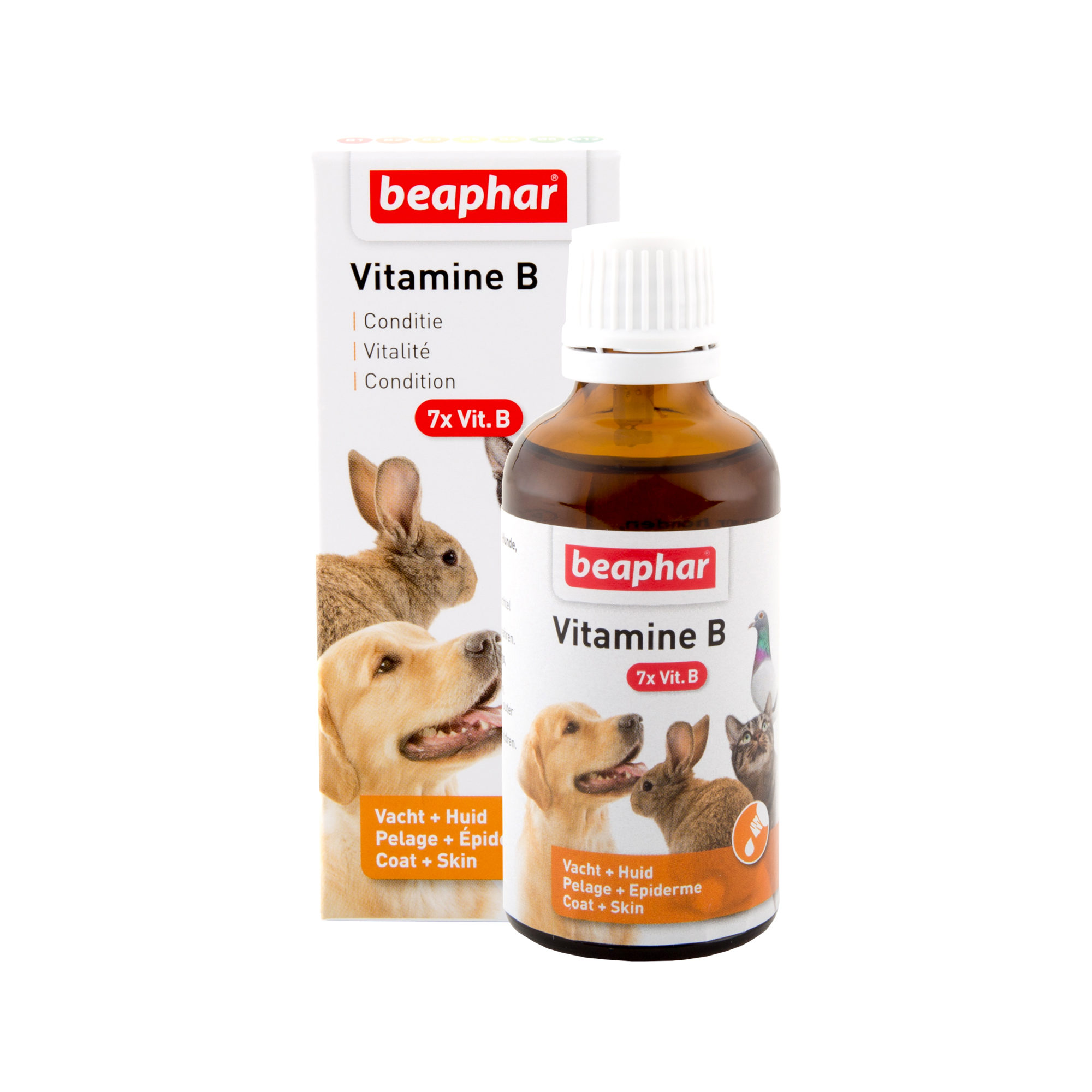 Beaphar Vitamin B-Complex (Vitamin-B Komplex) – 50 ml