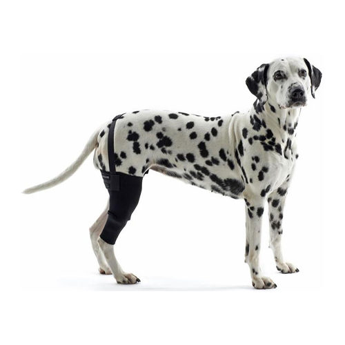 Kruuse Rehab Knieschutz – Links – XS