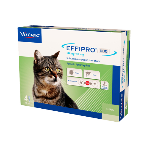 Effipro DUO Spot-on für Katzen – bis zu 6 kg – 4 Pipetten