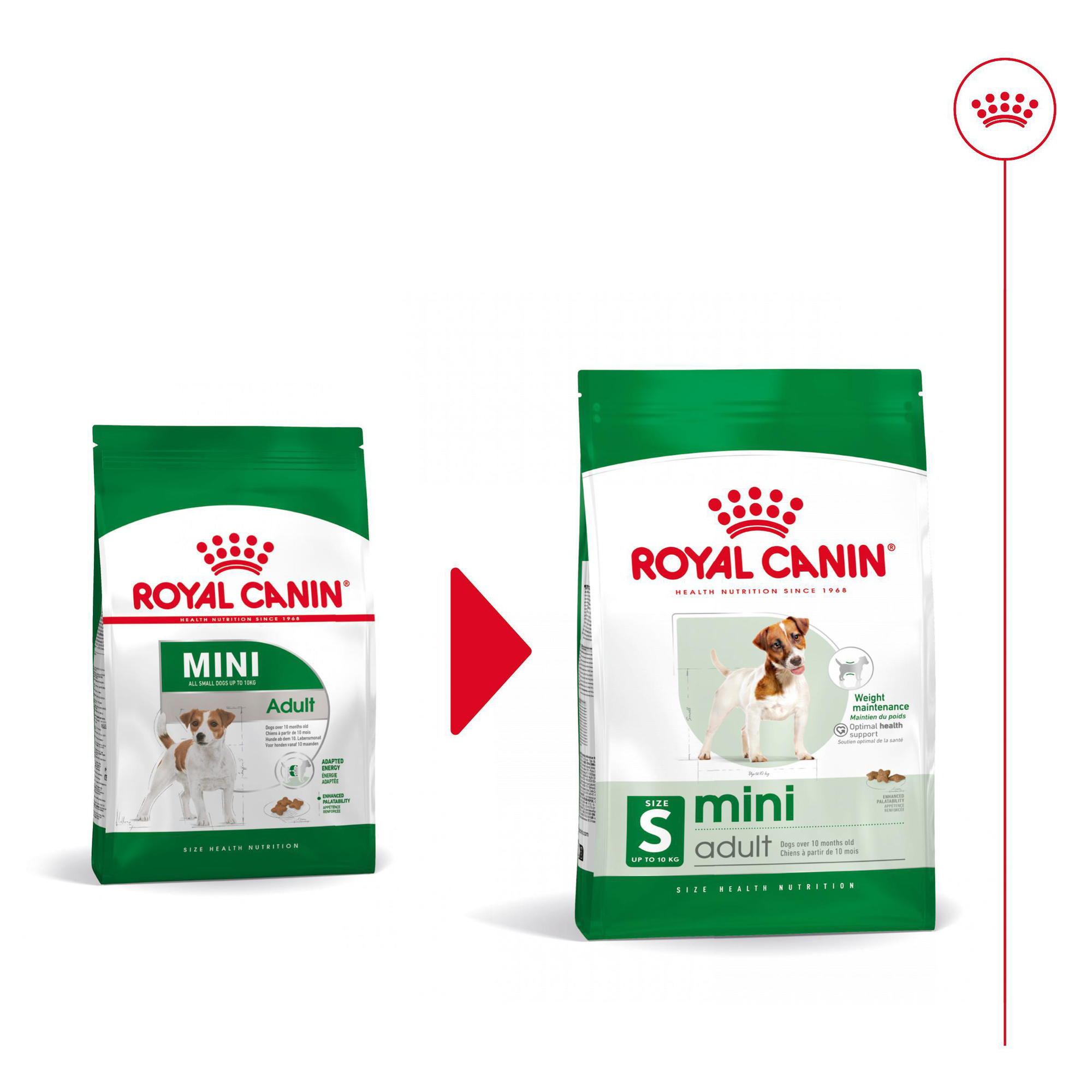 Royal Canin Mini Adult Hundefutter – 8 kg