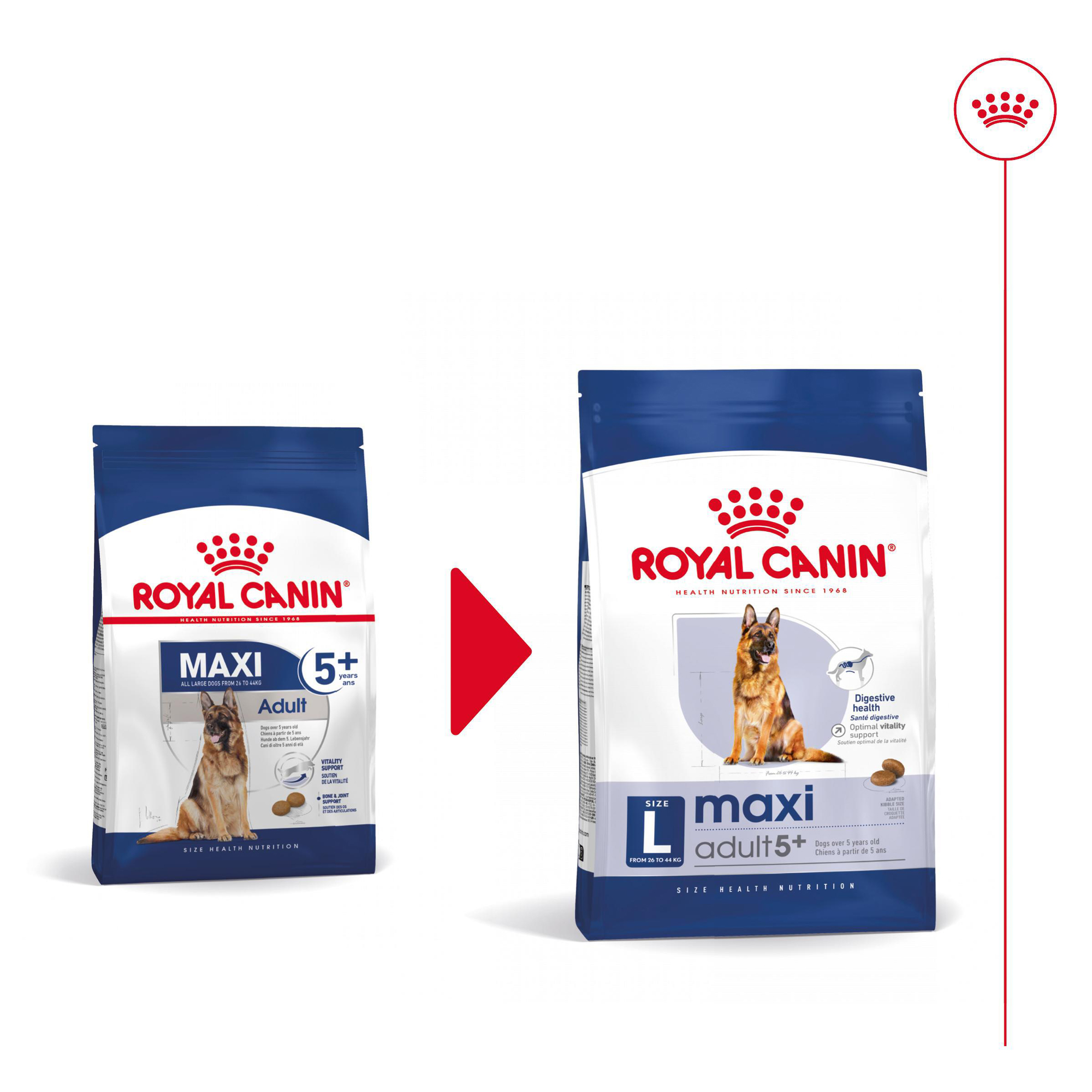 Royal Canin Maxi Adult 5+ Hundefutter – 15 kg