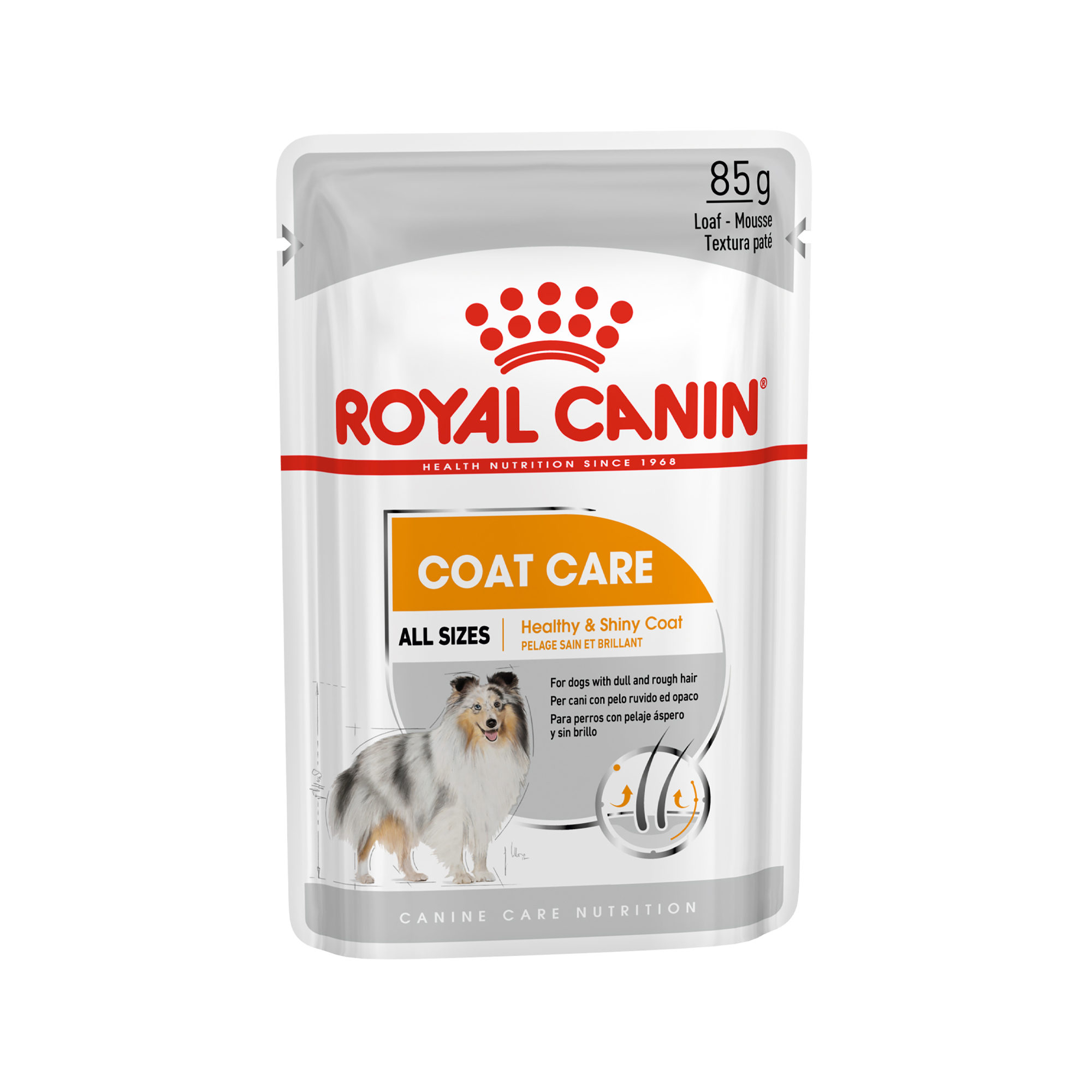 Royal Canin Coat Care Hundefutter – Frischebeutel – 12 x 85 g
