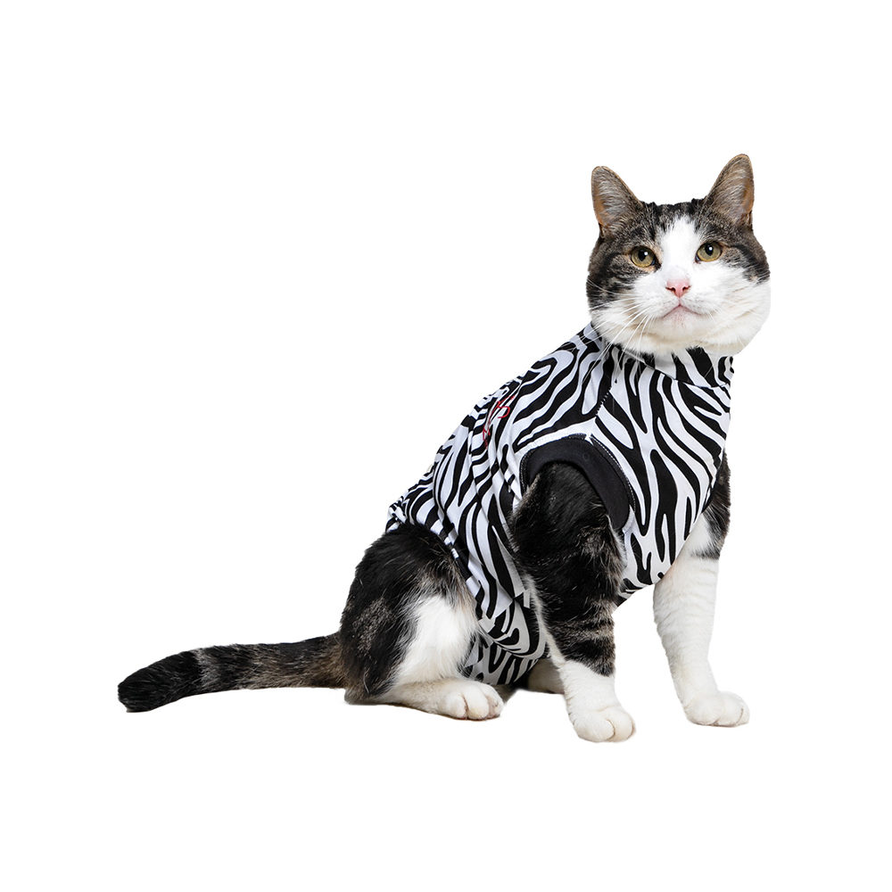 Medical Pet Shirt Katze – Zebra / Muster – XXXS Medical Pet Shirt Katze – Zebra / Muster – XXXS