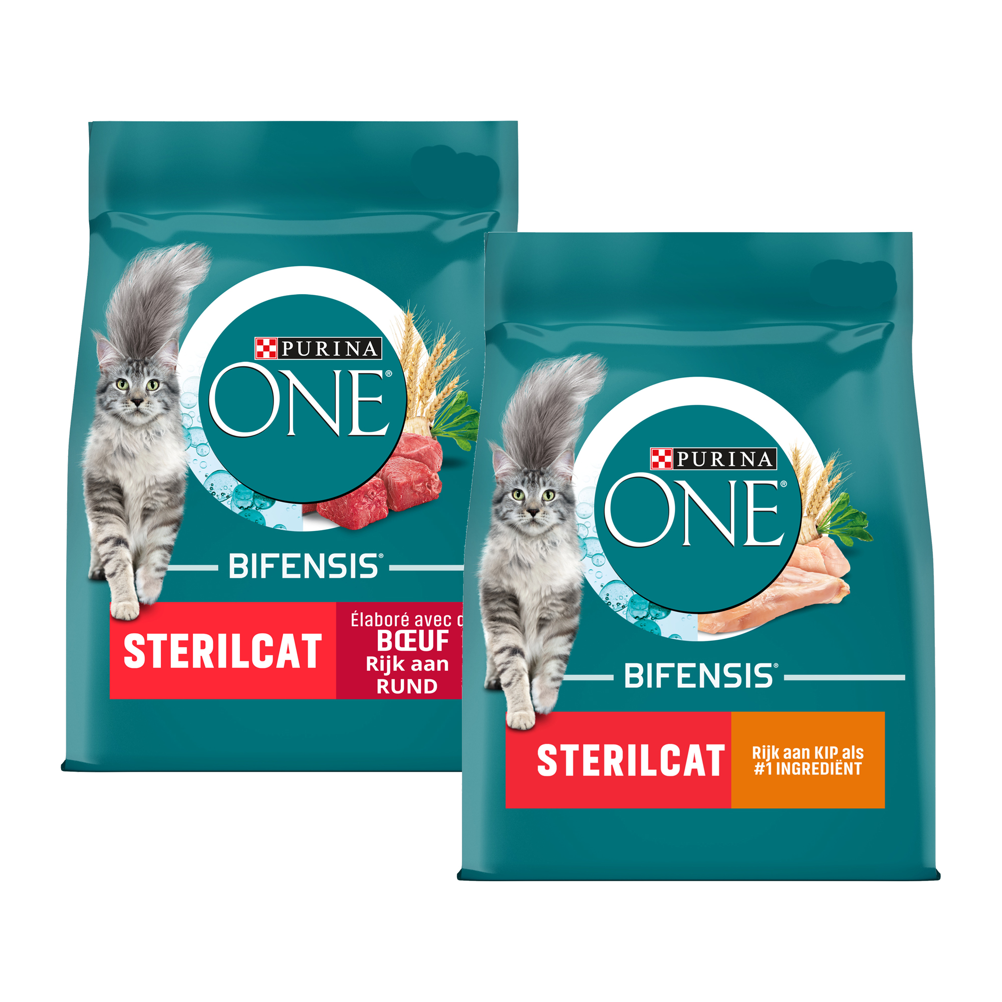 Purina One Sterilcat – Rindfleisch und Weizen – 2 x 3 kg