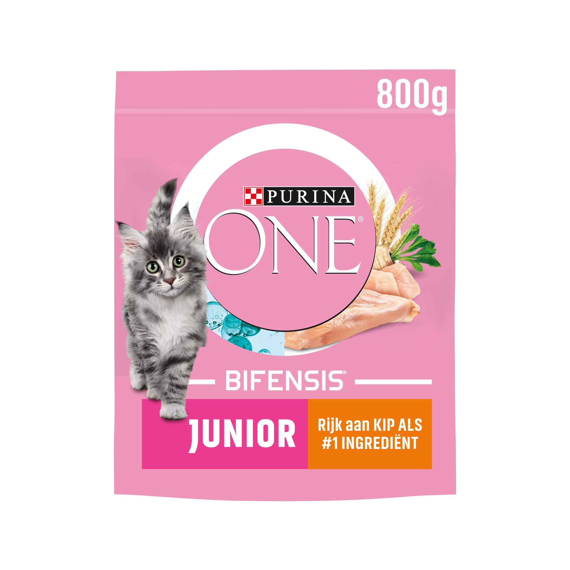 Purina ONE Junior – Huhn – 800 g