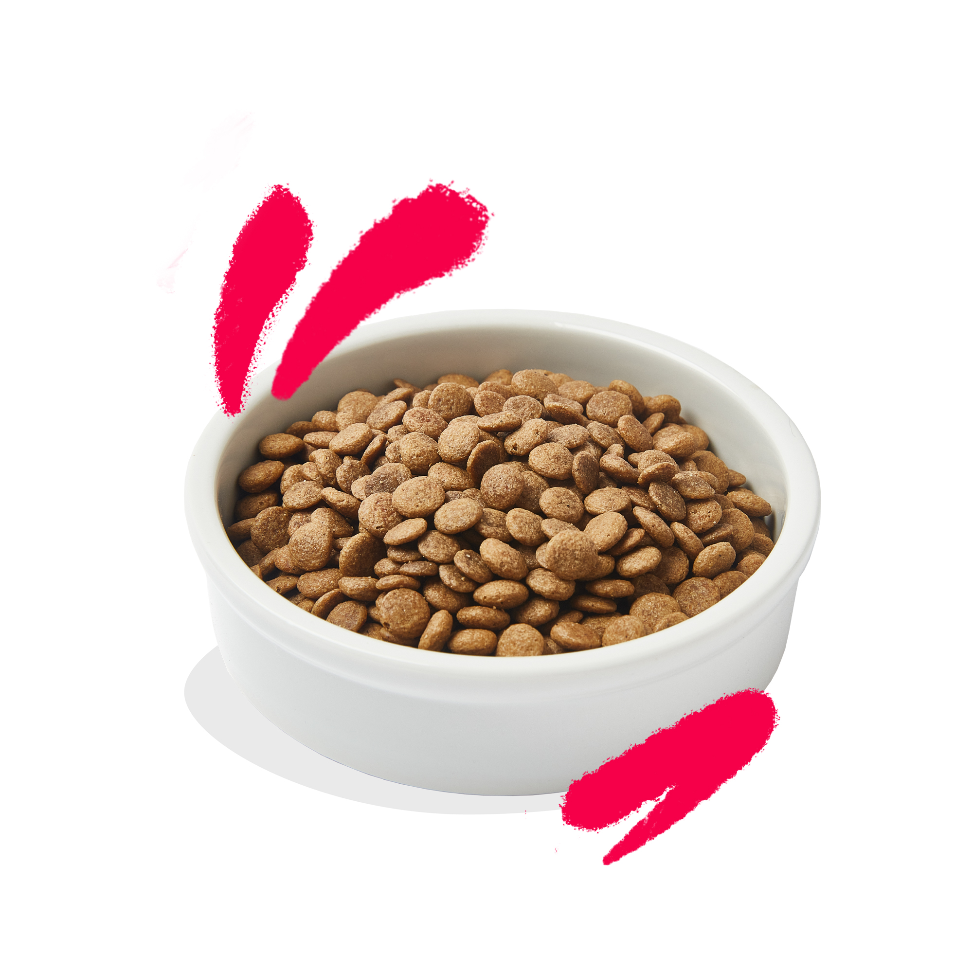 Edgard & Cooper Senioren-Katze – Huhn, Truthahn aus Freilandhaltung – 2 kg