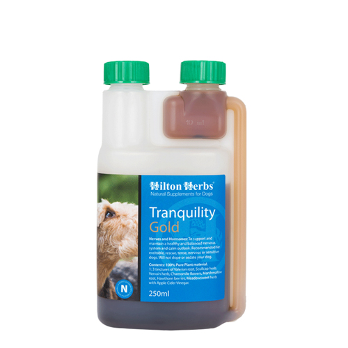 Hilton Herbs Tranquility Gold for Dogs – 500 ml Hilton Herbs Tranquility Gold for Dogs – 500 ml