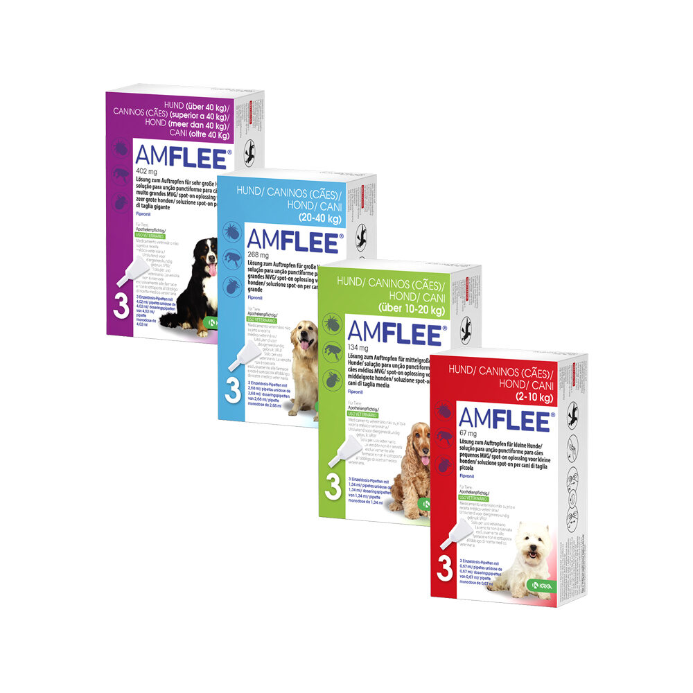 Amflee Spot-on Hund – 10-20 kg – 3 Pipetten