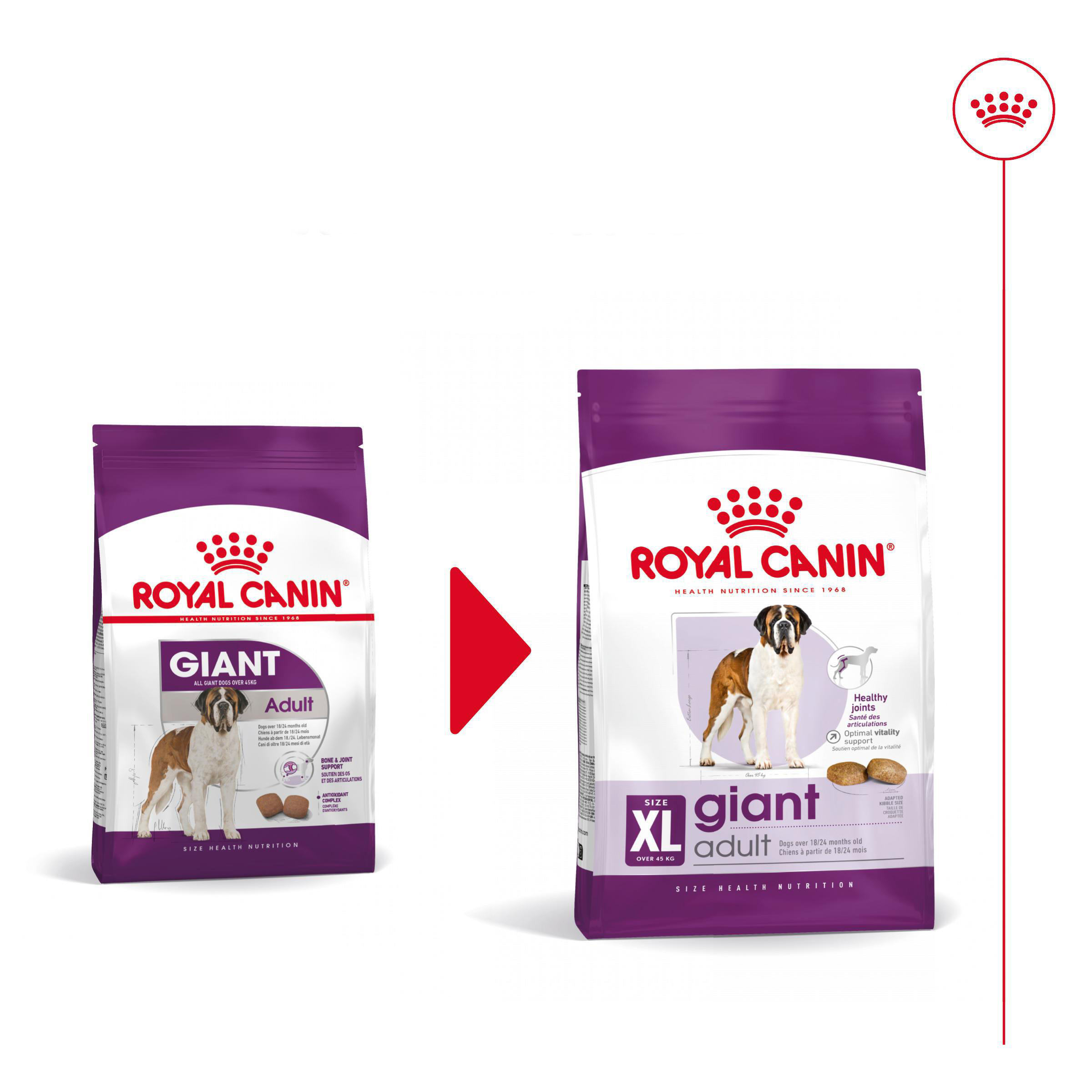 Royal Canin Giant Adult Hundefutter – 4 kg