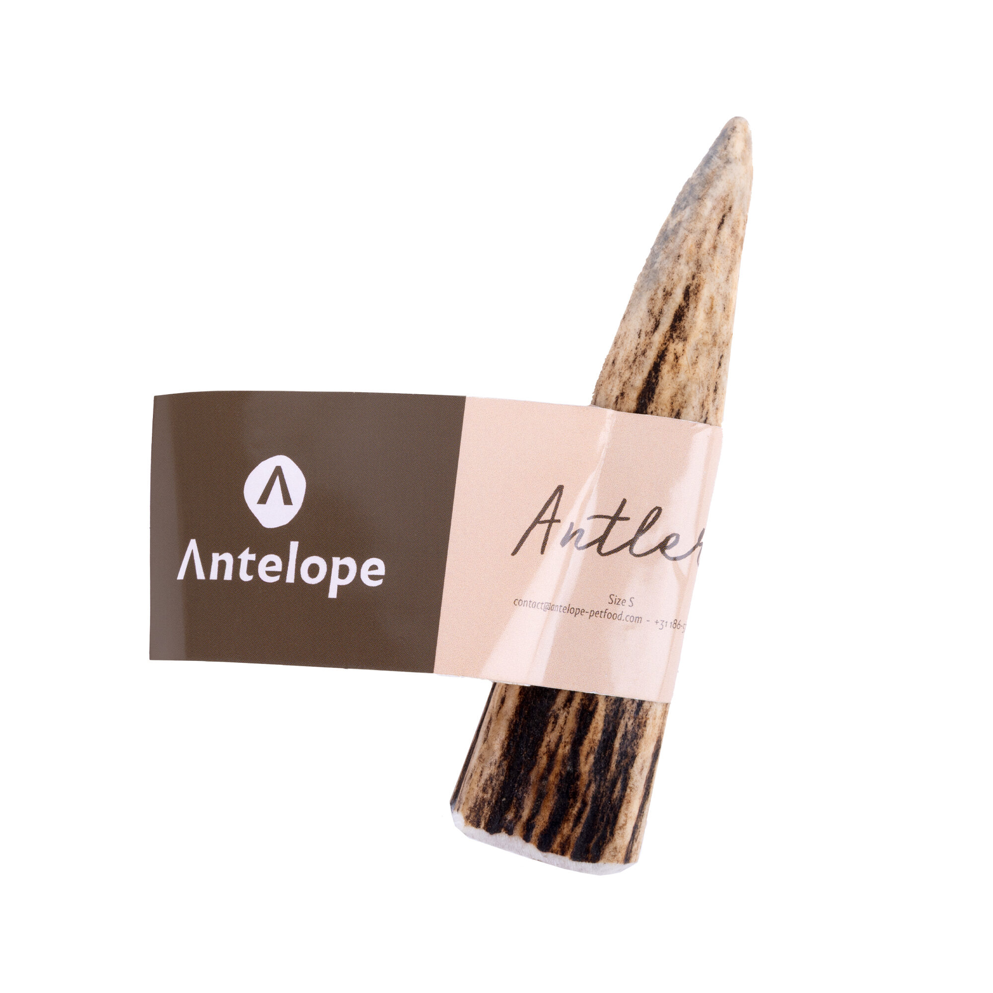 Antelope Antler – M