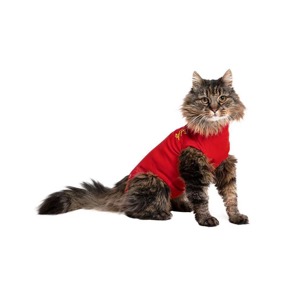 Medical Pet Shirt Katze – Rot – S