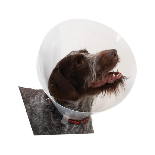 Buster Transparent Classic Collar – Größe 2