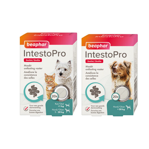 Beaphar IntestoPro Tabletten Katze/Hund bis 20 kg – 20 Tabletten