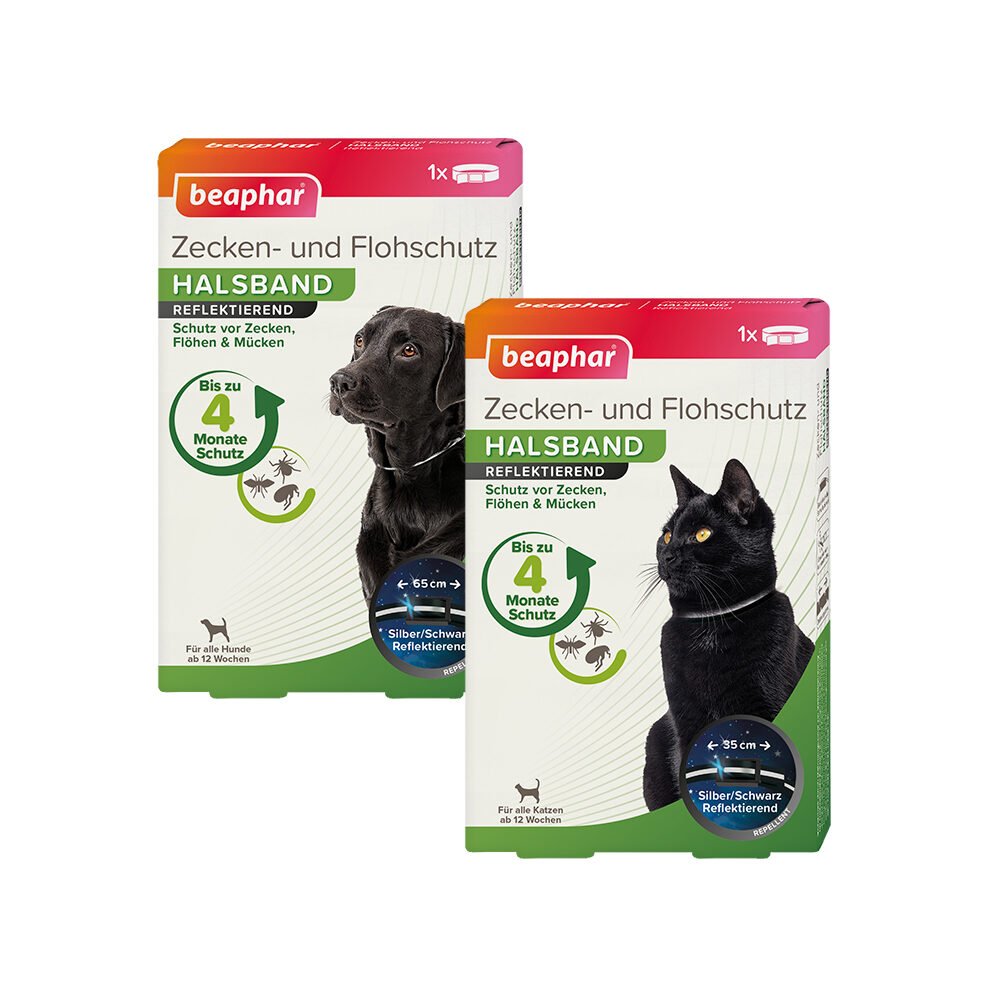 Beaphar Flohhalsband Reflektierend – Katze – 65 cm