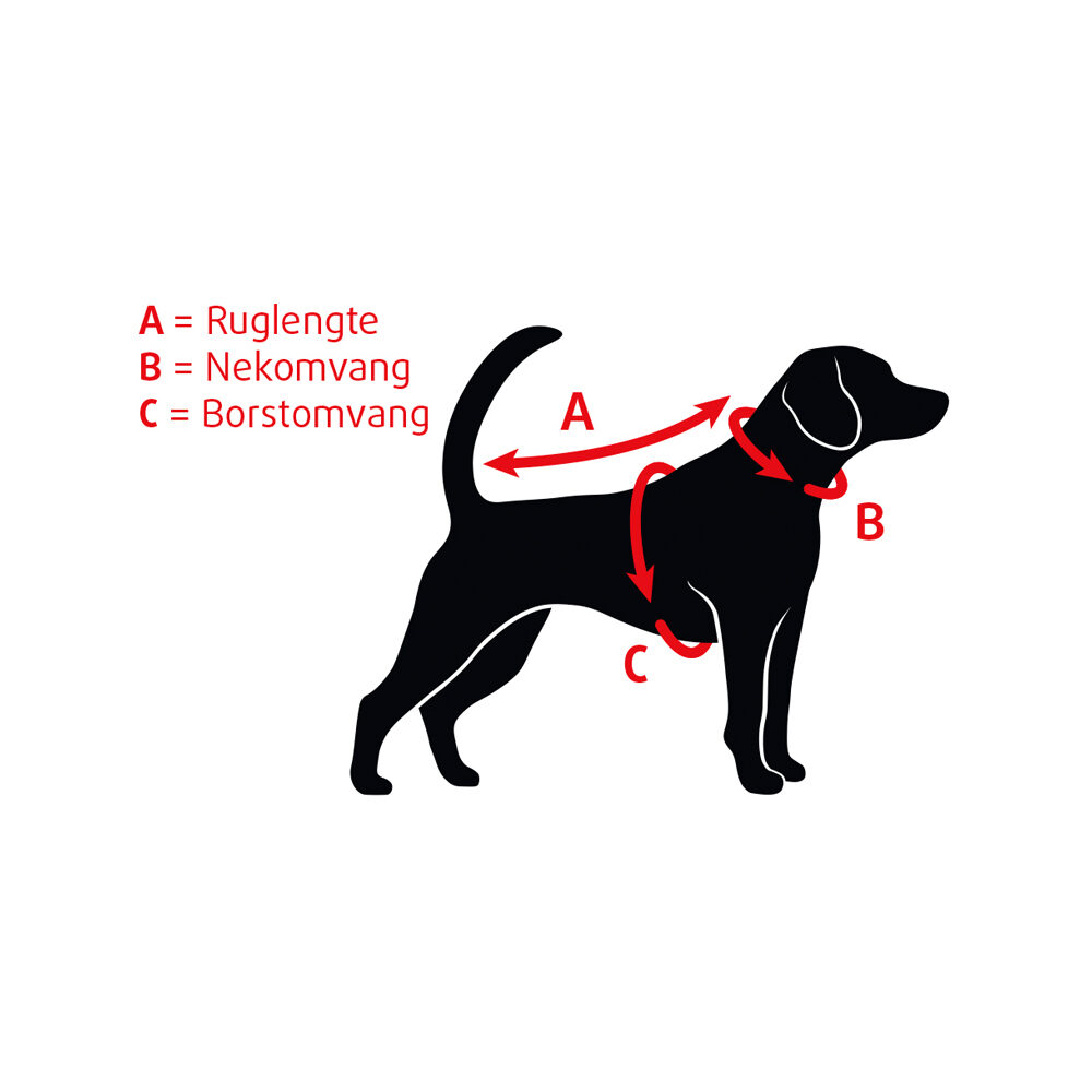 Beeztees Hundehalsband Leder – Schwarz – 57 cm x 20 mm Beeztees Hundehalsband Leder – Schwarz – 57 cm x 20 mm