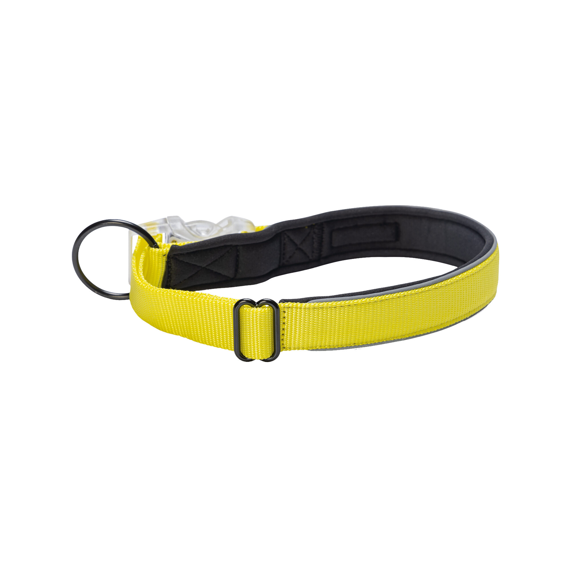 Beeztees Safety Gear Parinca Halsband – 50-55 x 2,5 cm Beeztees Safety Gear Parinca Halsband – 50-55 x 2,5 cm