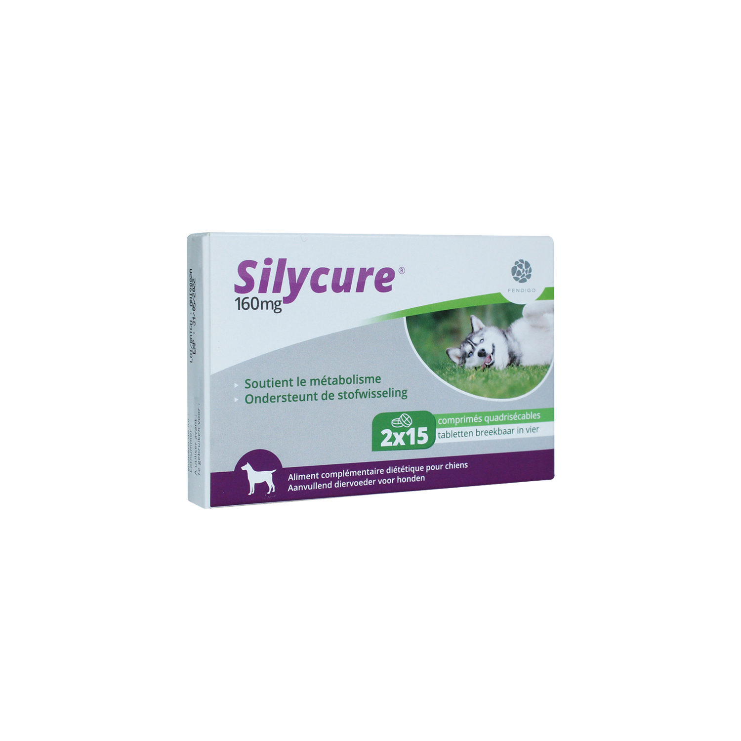 Silycure 40 mg – 60 Tabletten