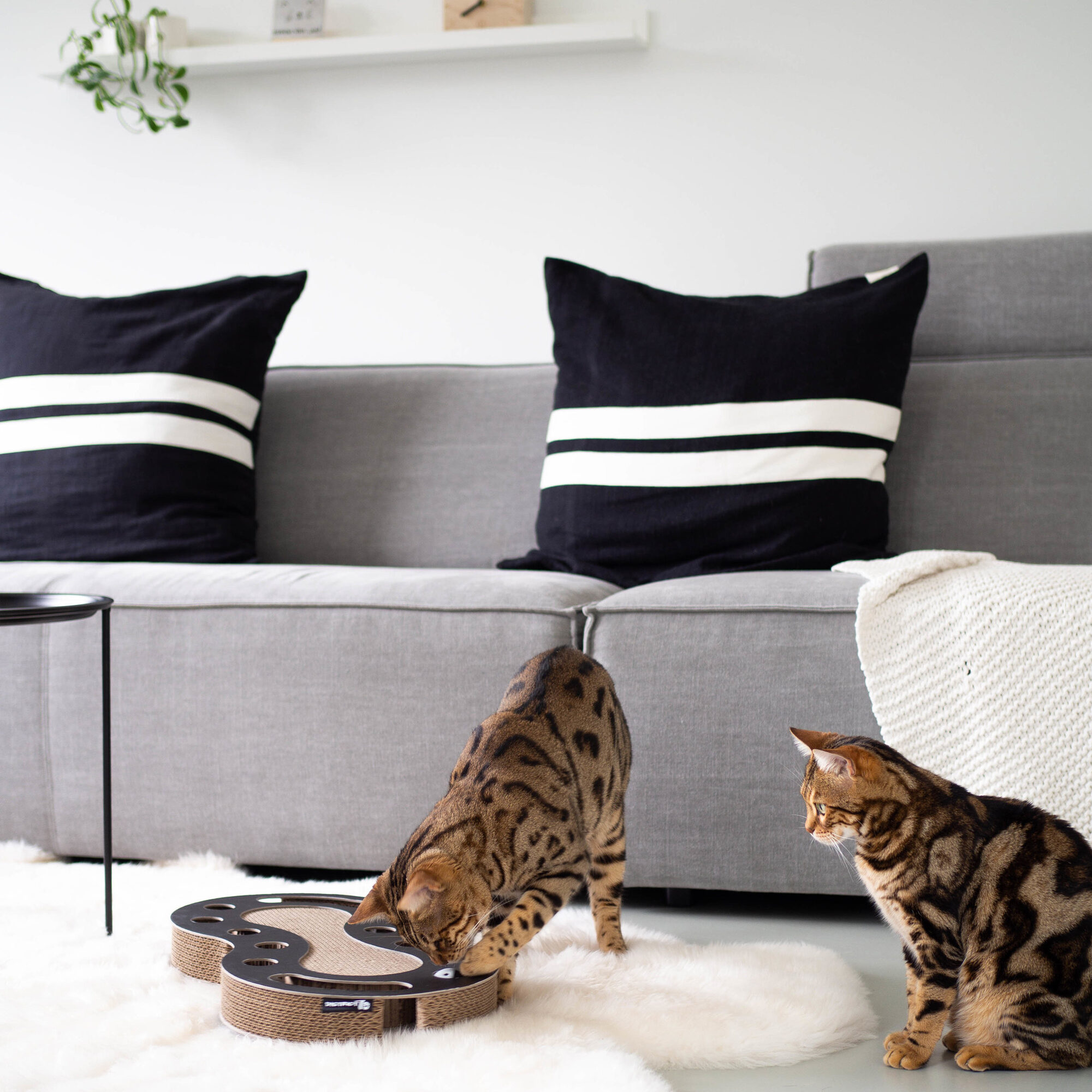 District 70 Snake – 54 x 28 x 6 cm District 70 Snake – 54 x 28 x 6 cm