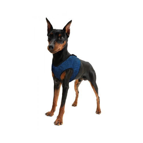 Aqua Coolkeeper Comfy Harness – Pacific Blue – XXS