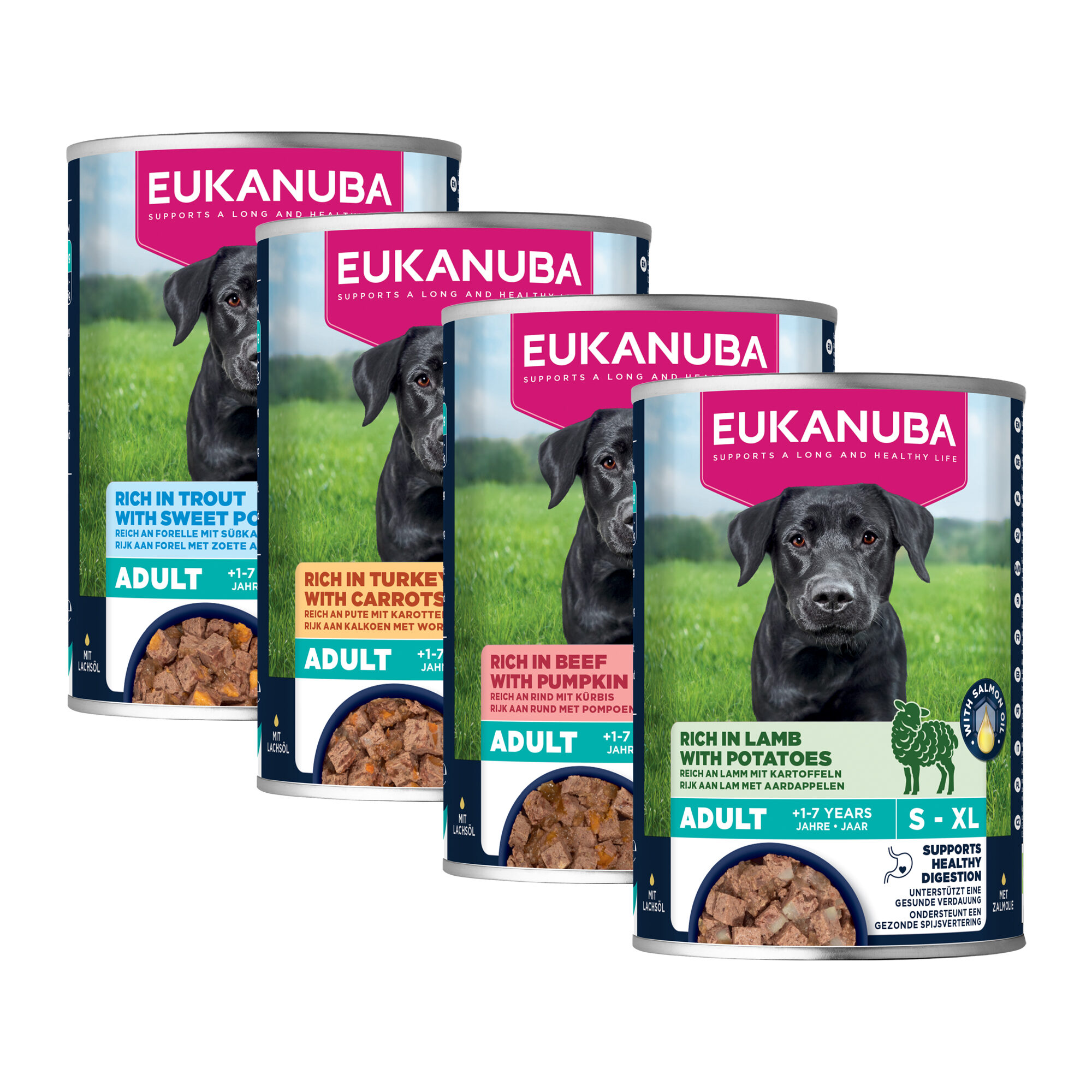 Eukanuba Dog Adult – Nassfutter – Forelle & Süßkartoffel – 6 x 400 g Eukanuba Dog Adult – Nassfutter – Forelle & Süßkartoffel – 6 x 400 g