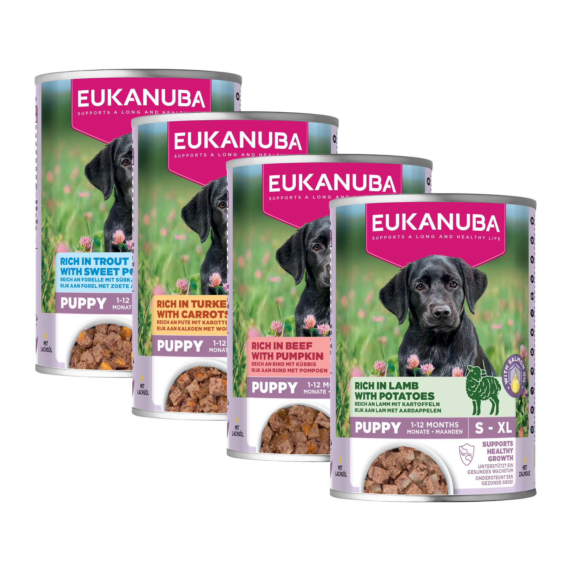 Eukanuba Dog Puppy – Nassfutter – Forelle & Süßkartoffel – 6 x 400 g Eukanuba Dog Puppy – Nassfutter – Forelle & Süßkartoffel – 6 x 400 g