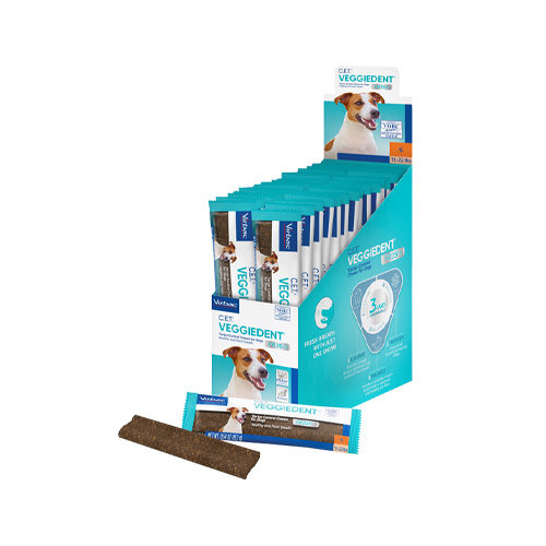 VeggieDent FR3SH Single – S