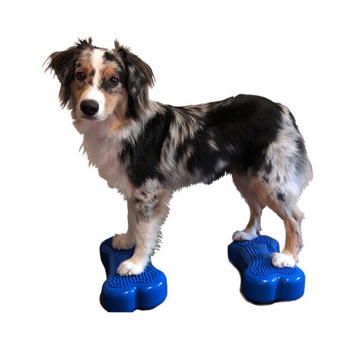 FitPAWS Bone Minis – 2er Set – Blau FitPAWS Bone Minis – 2er Set – Blau
