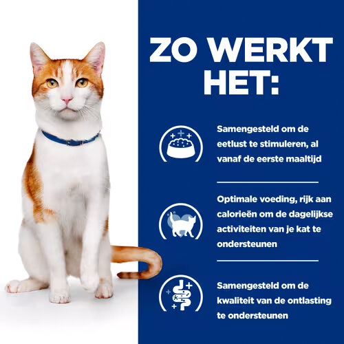 Hill’s ON-Care – Verschreibungspflichtige Diät – Katzen – 1,5 kg