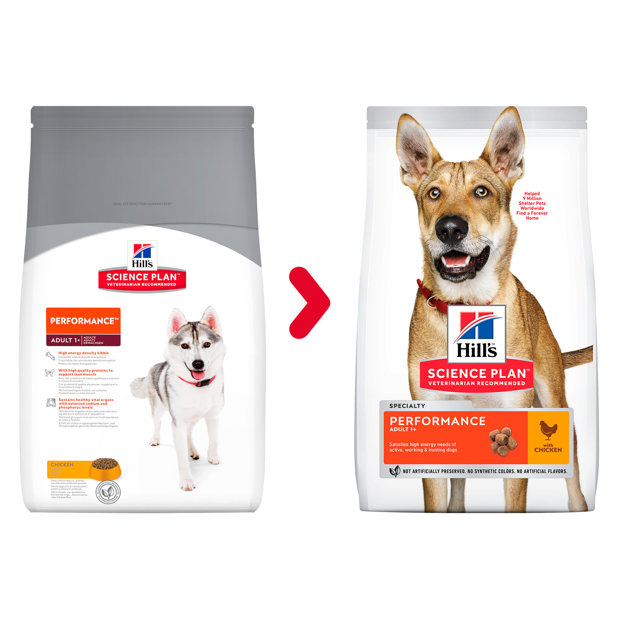 Hill’s Science Plan Adult Performance Hundefutter – 14 kg Hill’s Science Plan Adult Performance Hundefutter – 14 kg