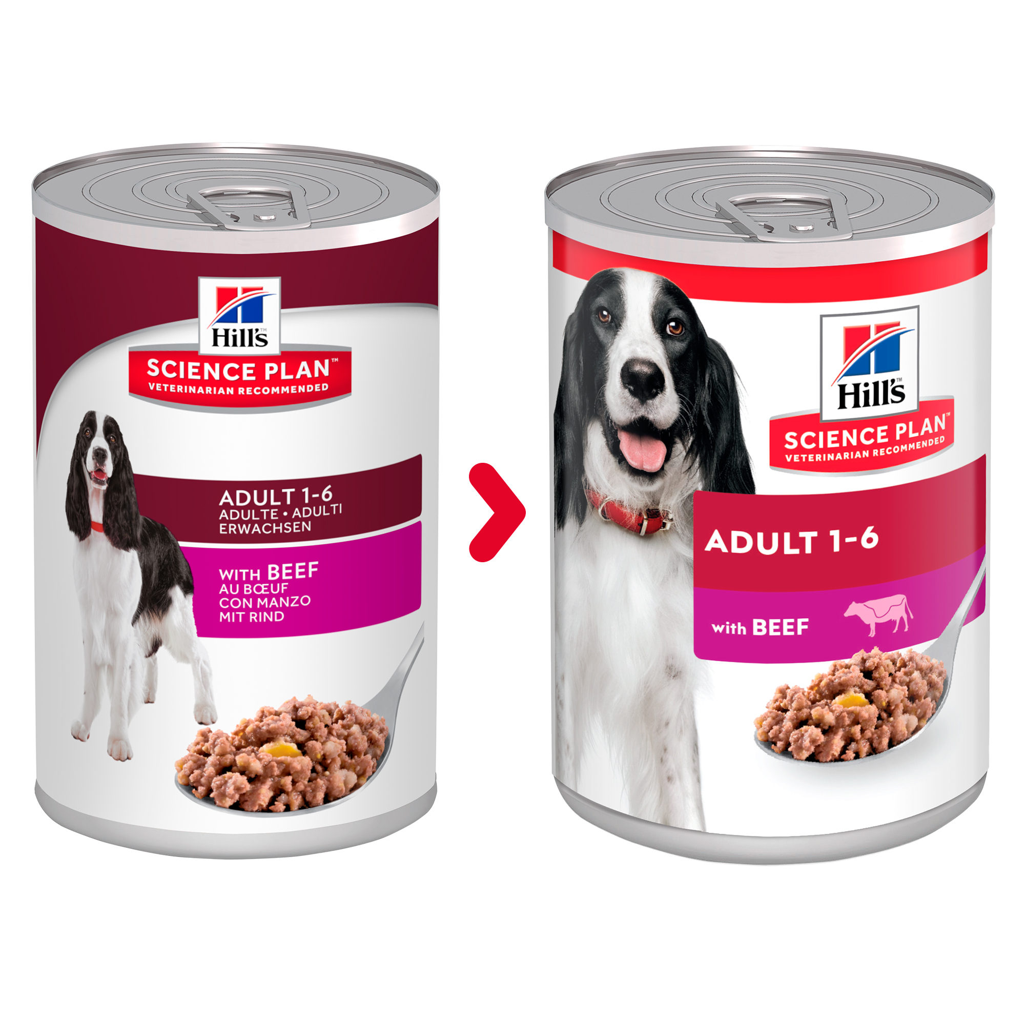 Hill’s Science Plan Canine Adult – Beef – Dosen 12 x 370 g