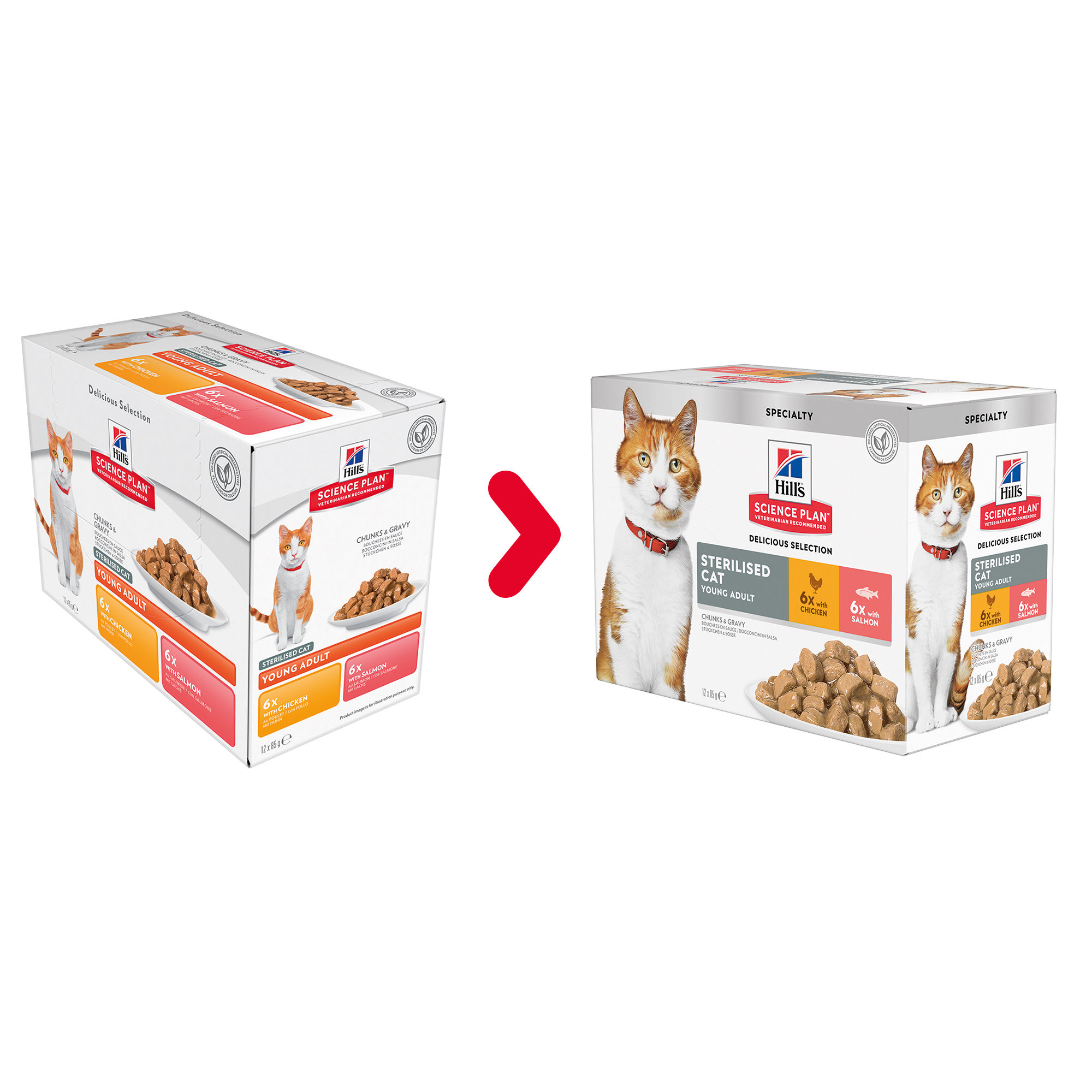 Hill’s Science Plan Sterilised Young Adult Katzenfutter – Huhn – 10 kg