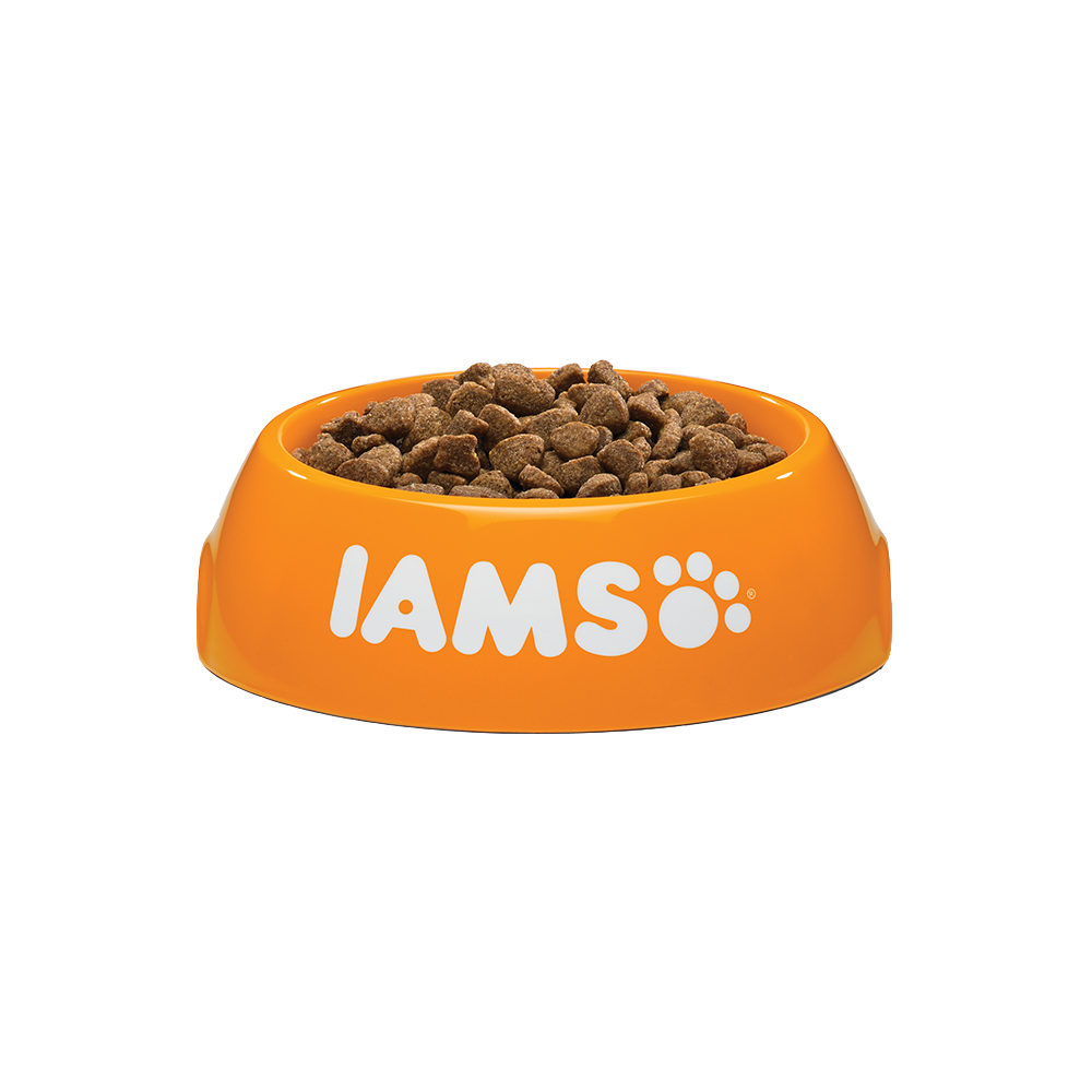 IAMS Adult Katzenfutter – Huhn – 10 kg