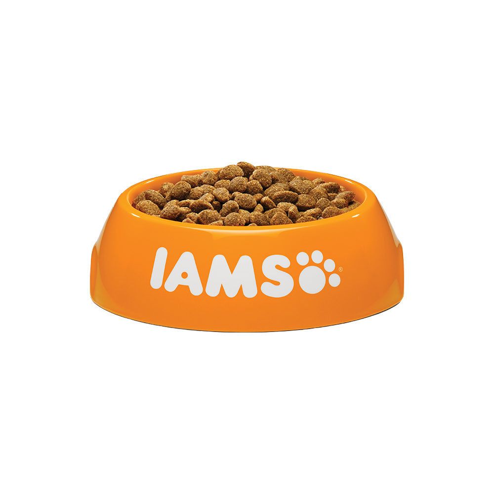 IAMS Light in Fat Hundefutter – 12 kg