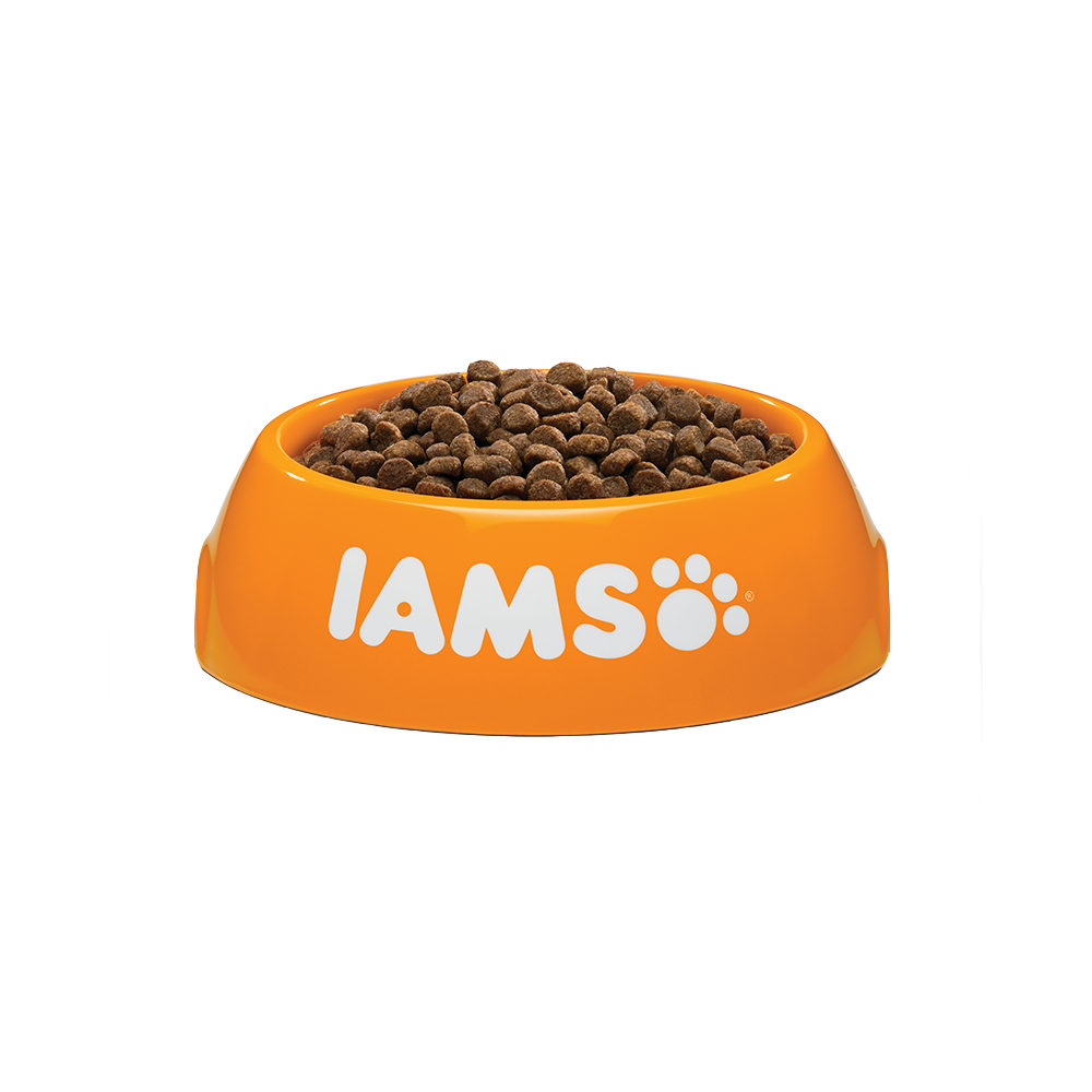 IAMS Kitten & Junior Kittenfutter – 800 g