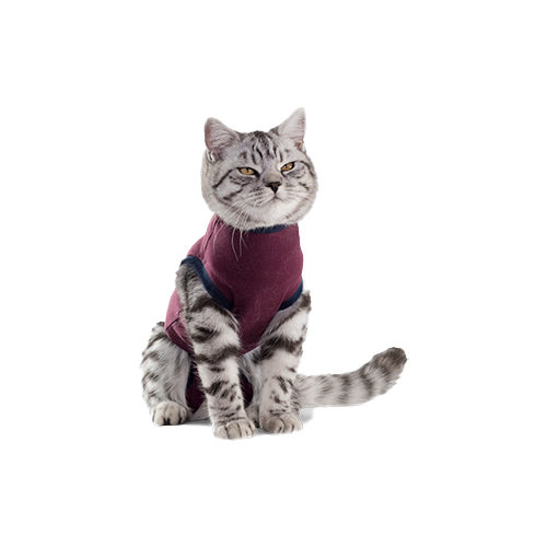 Jacketz Medical Body Suit – Katze – XXXS Jacketz Medical Body Suit – Katze – XXXS