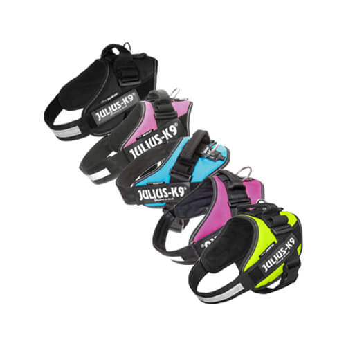 Julius-K9 IDC Powergeschirr – L – Anthrazit