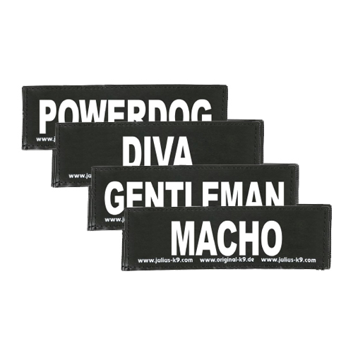 Julius K9 Labels Klein – Charmeur