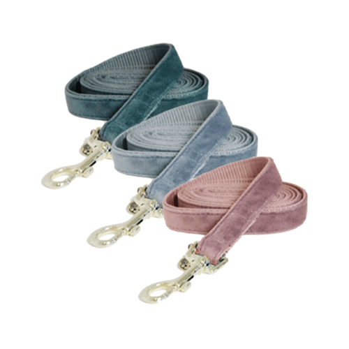 Kentucky Dogwear Hundeleine Velvet – 120 cm – Smaragd