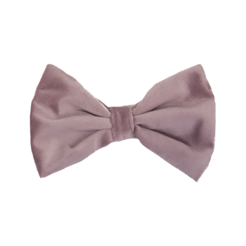 Kentucky Dogwear Fliege – Samt – L – Hellblau