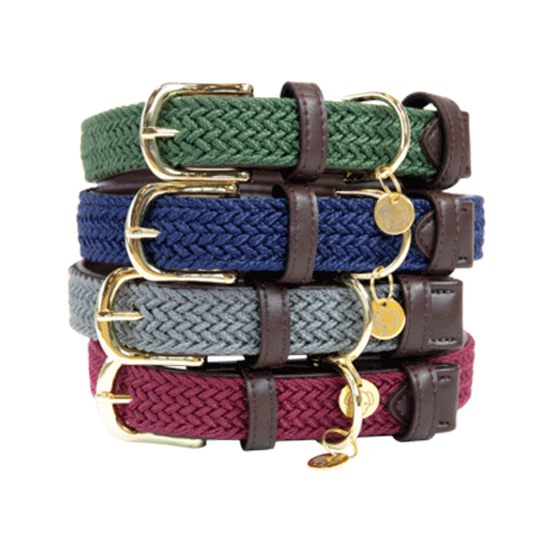 Kentucky Dogwear – Nylon – Geflochten – M/L – Olive Grün – 58 cm