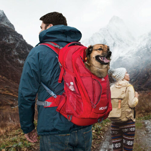 Kurgo G-Train K9 Pack – 33 x 53 x 25,4 cm – schwarz